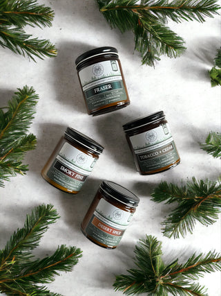 Four scented candles in glass jars are elegantly arranged on a white surface, encircled by lush green pine branches. Labeled "Fraser," "Tobacco + Cedar," "Smoky Pine," and "Desert Spice," they each provide a unique fragrance experience. Hints of French Oak infuse the air, with the aroma emerging from a luxurious 9oz. Amber Jar Candle by Begonia & Bench®, enhancing the festive and seasonal ambiance with notes of rich amber.