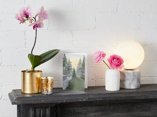 On a stylish mantelpiece, a golden pot with a pink orchid is displayed alongside two small golden decorative cups and a framed nature painting. A white vase filled with pink flowers enhances the setting, while a round modern lamp with a marble base emits a soft glow. Nearby, a scented candle adds warmth to the white brick wall backdrop. Tucked in amidst this arrangement is an elegant Greeting Card bringing personalized charm to the display.