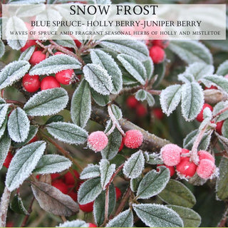 Frost-kissed leaves and radiant red berries draw the eye, embodying the allure of handcrafted candles. At the top, the text reads "SNOW FROST: Blue Spruce - Holly Berry - Juniper Berry." Beneath it, a description states, "Waves of spruce among fragrant seasonal herbs of holly and mistletoe," capturing the essence of the Snow Frost™ 12oz Finely Crafted Scented Candle by Begonia & Bench®.